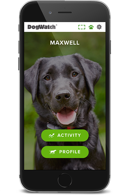 DogWatch of Central Maryland, Sykesville, Maryland | SmartFence WebApp Image