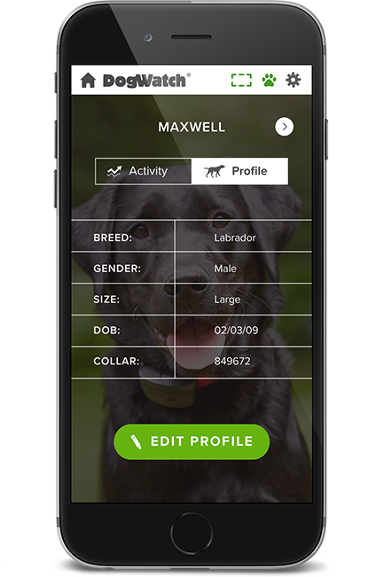 DogWatch of Central Maryland, Sykesville, Maryland | SmartFence WebApp Image