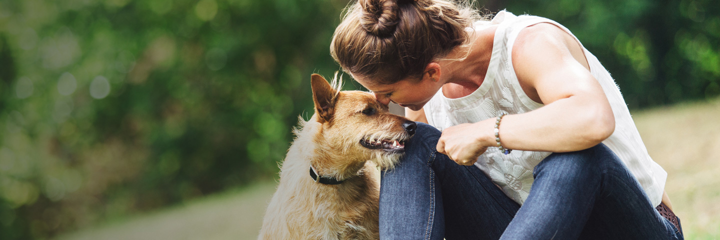 DogWatch of Central Maryland, Sykesville, Maryland | BarkCollar No-Bark Trainer Slider Image